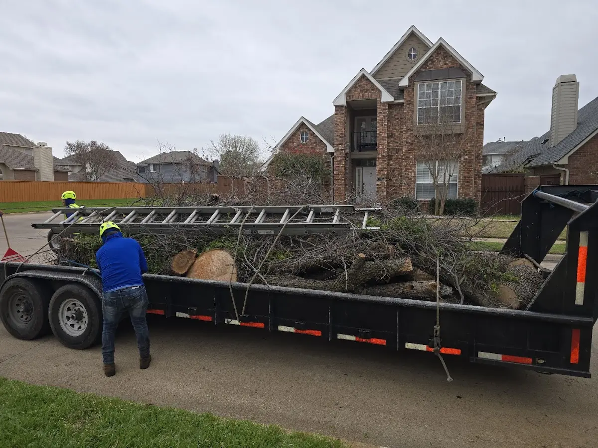 Expert Lot Clearing with proper safety equipment in Meally